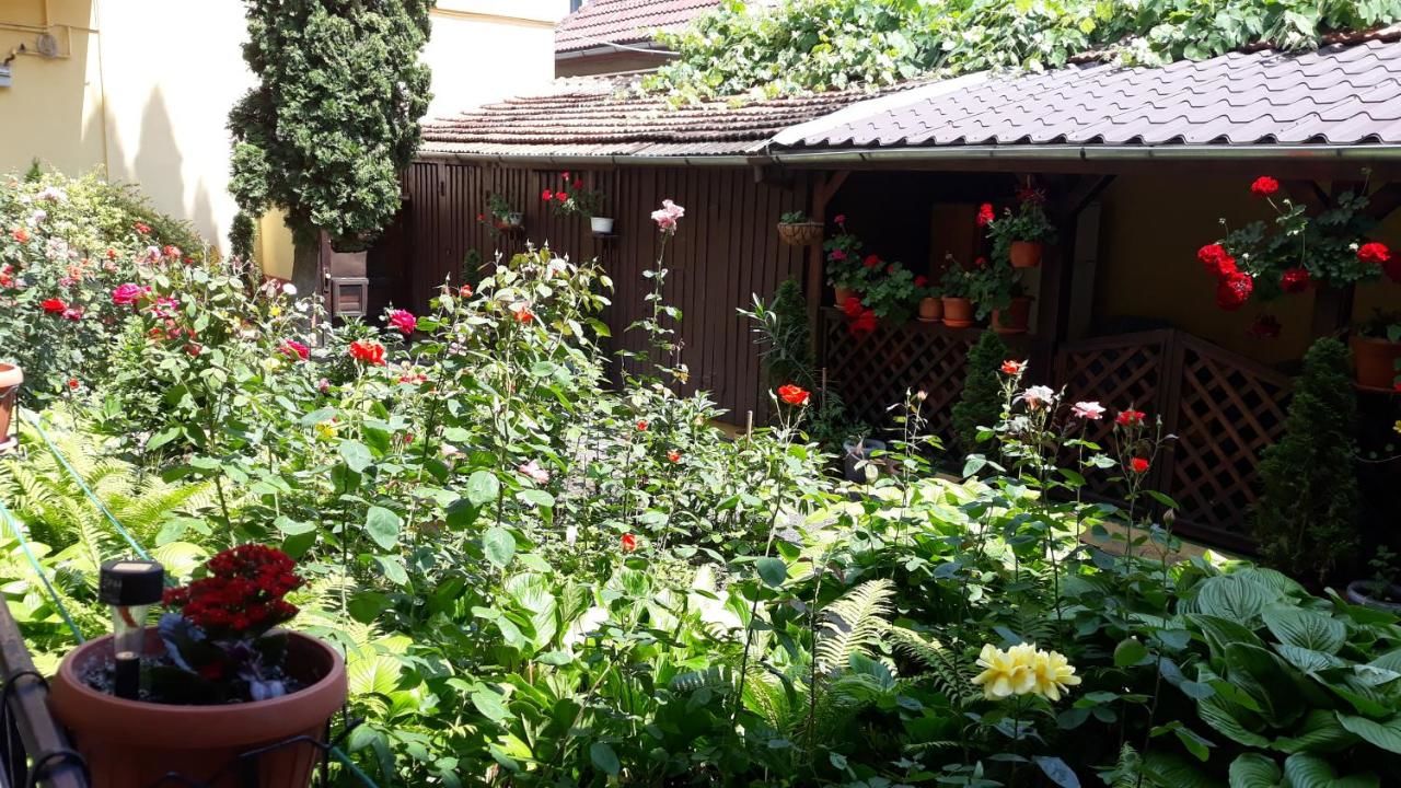 Гостевой дом Villa Casa Ioana Брашов-19