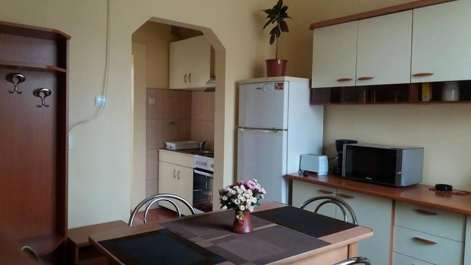 Гостевой дом Villa Casa Ioana Брашов