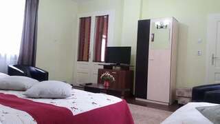 Гостевой дом Villa Casa Ioana Брашов Апартаменты-6