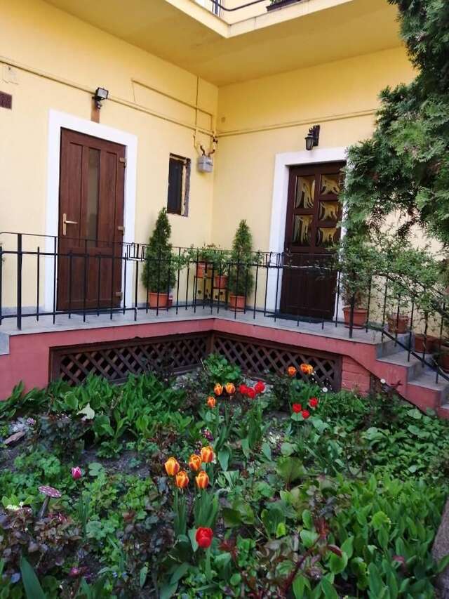 Гостевой дом Villa Casa Ioana Брашов-16