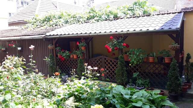 Гостевой дом Villa Casa Ioana Брашов-17