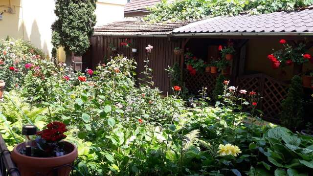 Гостевой дом Villa Casa Ioana Брашов-18