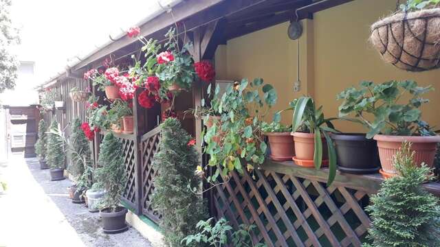 Гостевой дом Villa Casa Ioana Брашов-19