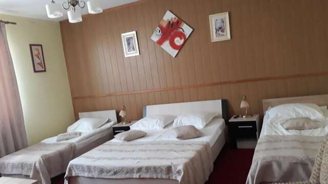 Гостевой дом Villa Casa Ioana Брашов-31