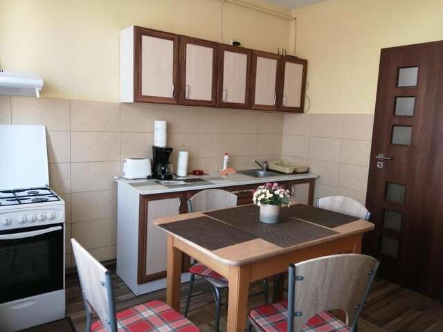 Гостевой дом Villa Casa Ioana Брашов-5