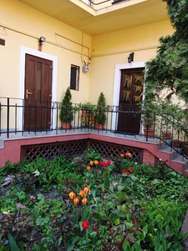 Гостевой дом Villa Casa Ioana Брашов-38