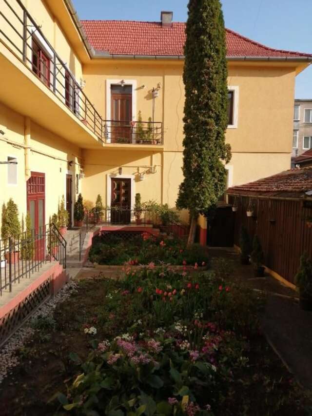 Гостевой дом Villa Casa Ioana Брашов-39