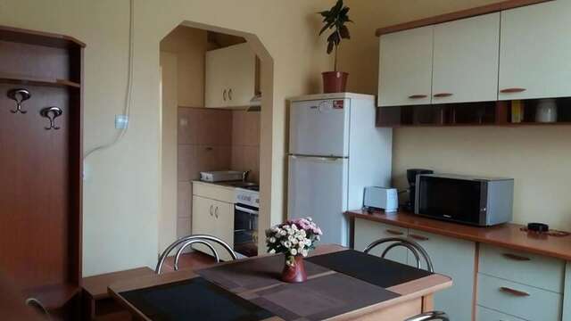 Гостевой дом Villa Casa Ioana Брашов-9